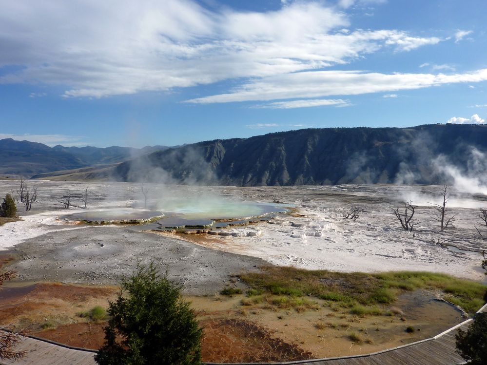 Yellowstone Mammoth Hotsprings (73).JPG